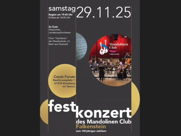 Flyer S1 adj